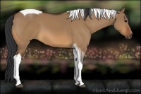 Horse Color:Bay Dun Tobiano 