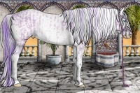 Horse Color:Watercolor Perlino Sabino and Watercolor Perlino Sabino