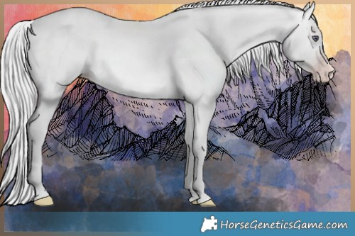 Horse Color:Silver Sable Champagne Chinchilla 