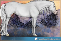 Horse Color:Silver Sable Champagne Chinchilla