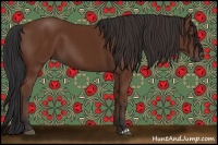 Horse Color:Bay and Bay