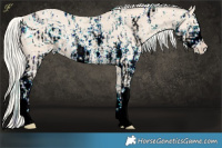 Horse Color:ERROR: UNKNOWN ANOMALY and ERROR: UNKNOWN ANOMALY