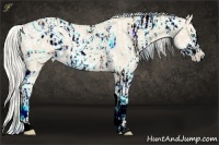 Horse Color:ERROR: UNKNOWN ANOMALY and ERROR: UNKNOWN ANOMALY