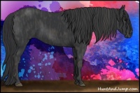 Horse Color:Black  Brindle