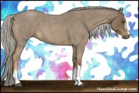 Horse Color:Chocolate Palomino Roan