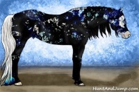 Horse Color:ERROR: UNKNOWN ANOMALY and ERROR: UNKNOWN ANOMALY