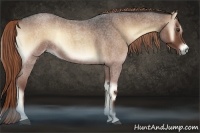 Horse Color:Liver Red Onyx Roan 