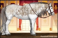 Horse Color:Liver Red Dun Splash  and Liver Red Dun Splash 