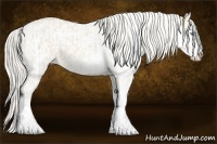Horse Color:Cremello Sabino  and Cremello Sabino 