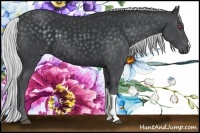 Horse Color:Silver Black Chinchilla 