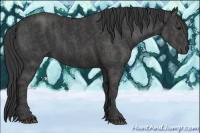 Horse Color:Black Brindle