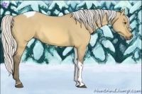 Horse Color:Silver Buckskin Dun Tobiano