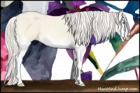 Horse Color:Cremello Dun Splash  and Cremello Dun Splash 