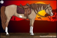 Horse Color:Red Dun Roan Splash Frame Rabicano