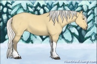 Horse Color:Silver Buckskin Dun Tobiano 