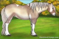 Horse Color:Silver Buckskin Roan Onyx Tobiano Rabicano