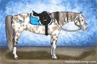 Horse Color:Buckskin Roan Dun Splash Near Leopard 