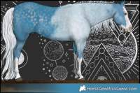 Horse Color:Watercolor Silver Black Chinchilla Splash Rabicano 