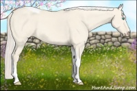 Horse Color:Cremello Dun Tobiano