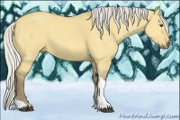 Horse Color:Silver Buckskin Dun Tobiano