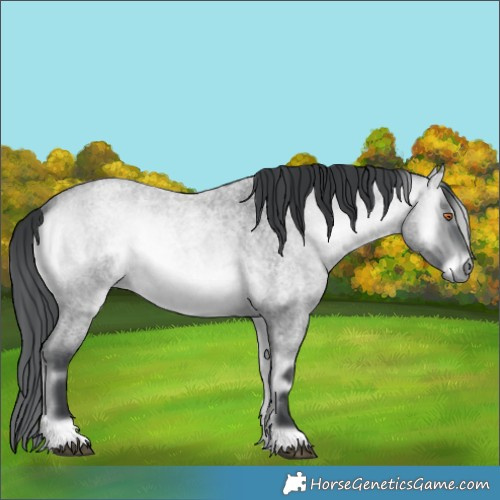 Horse Color:Brown Chinchilla Roan Onyx Rabicano  and Brown Chinchilla Roan Onyx Rabicano 