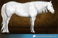 Horse Color:Silver Brown Sabino Rabicano  Brindle