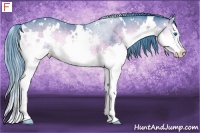 Horse Color:Watercolor White Spotted Buckskin Onyx Sabino Splash Rabicano  Brindle
