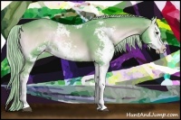 Horse Color:Watercolor Palomino Onyx Sabino