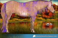 Horse Color:Watercolor Brown Onyx Rabicano  Brindle