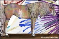 Horse Color:Nacre Chocolate Palomino Sabino