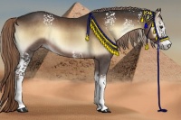 Horse Color:White Spotted Liver Red Onyx 