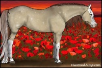 Horse Color:Red Dun Splash 