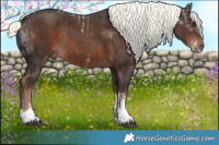 Horse Color:Liver Chestnut Mushroom Sabino Tobiano Rabicano and Liver Chestnut Mushroom Sabino Tobiano Rabicano