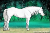 Horse Color:Silver Brown Sabino Tobiano Appaloosa 