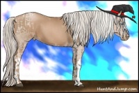 Horse Color:Silver Black Pearl  and Silver Black Pearl 