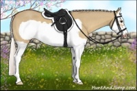 Horse Color:Silver Bay Dun Splash Frame 