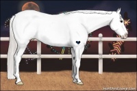 Horse Color:White Spotted Silver Black Varnish Rabicano