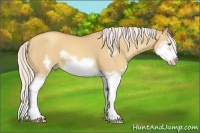 Horse Color:Silver Classic Champagne Dun Splash Frame 