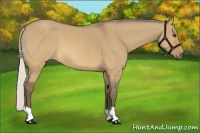 Horse Color:Silver Brown Dun