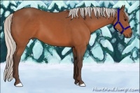 Horse Color:Silver Brown 