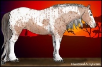 Horse Color:Bay Splash Tobiano Blanket  and Bay Splash Tobiano Blanket 