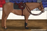 Horse Color:Chestnut Frame