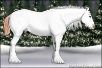 Horse Color:Bay Splash Tobiano Varnish Brindle