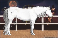 Horse Color:Buckskin Sabino Splash 