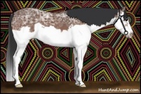 Horse Color:Bay Ice Splash Frame