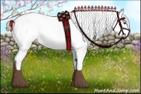 Horse Color:Liver Chestnut Tobiano Appaloosa