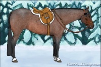 Horse Color:Bay Roan 