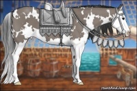 Horse Color:White Spotted Grullo Splash