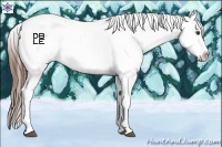 Horse Color:Chestnut Snowcap 