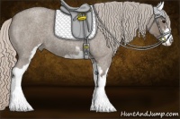 Horse Color:Silver Grullo Roan Sabino
